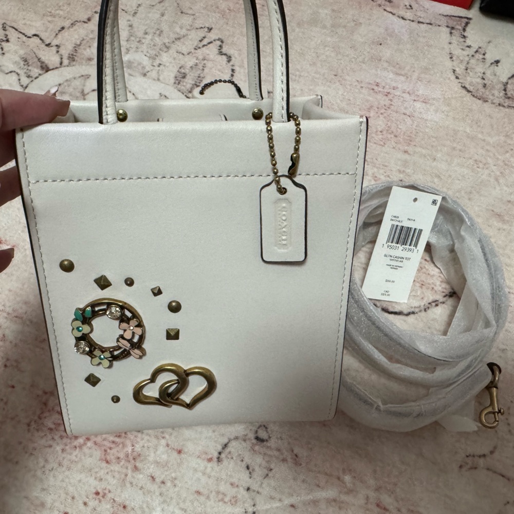 Coach create chalk Mini Cashin Tote.